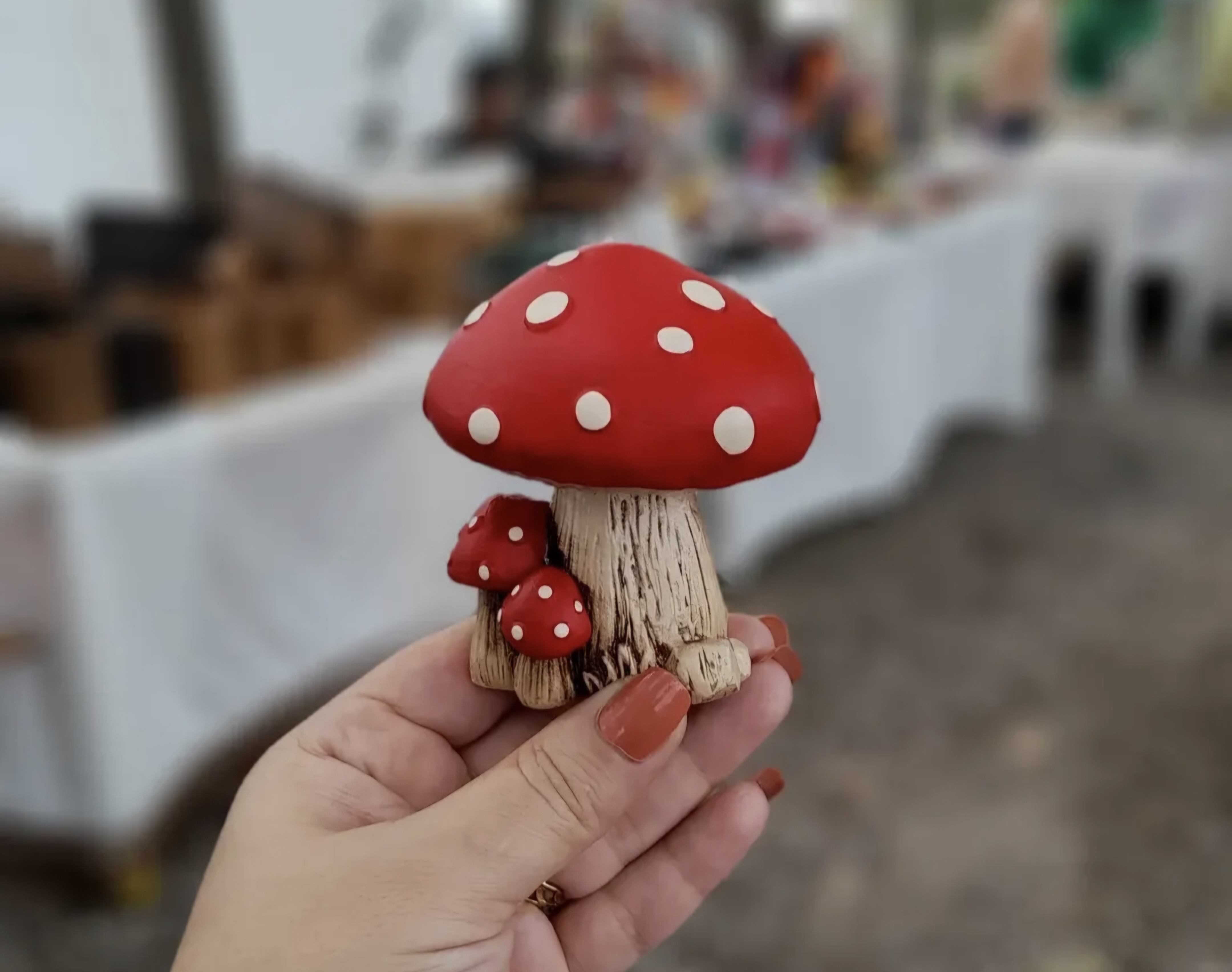 قارچ